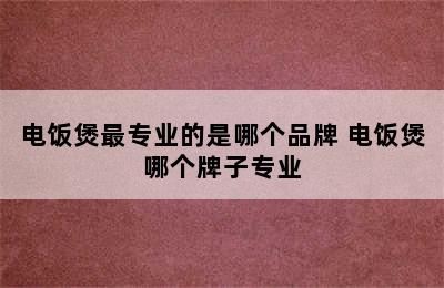 电饭煲最专业的是哪个品牌 电饭煲哪个牌子专业